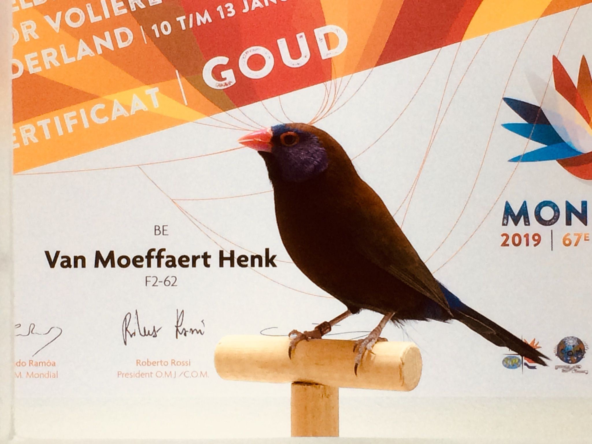 Henk Van Moeffaert
